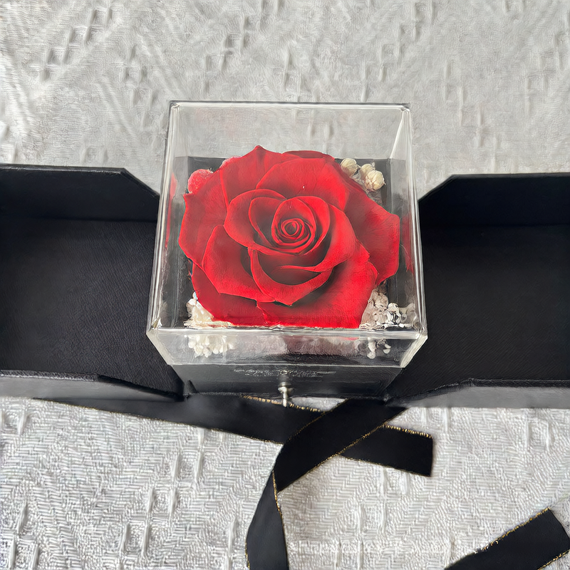 Ring and Necklace Gift Box